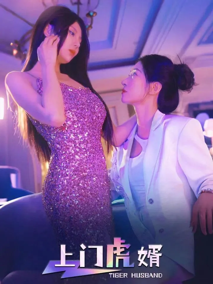 上门虎婿