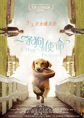 一条狗的使命 原声版
