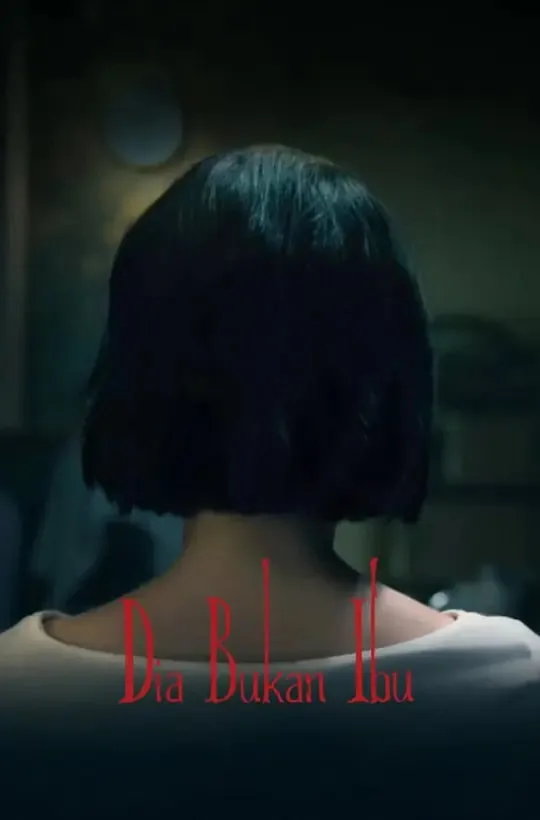 她不是我妈妈